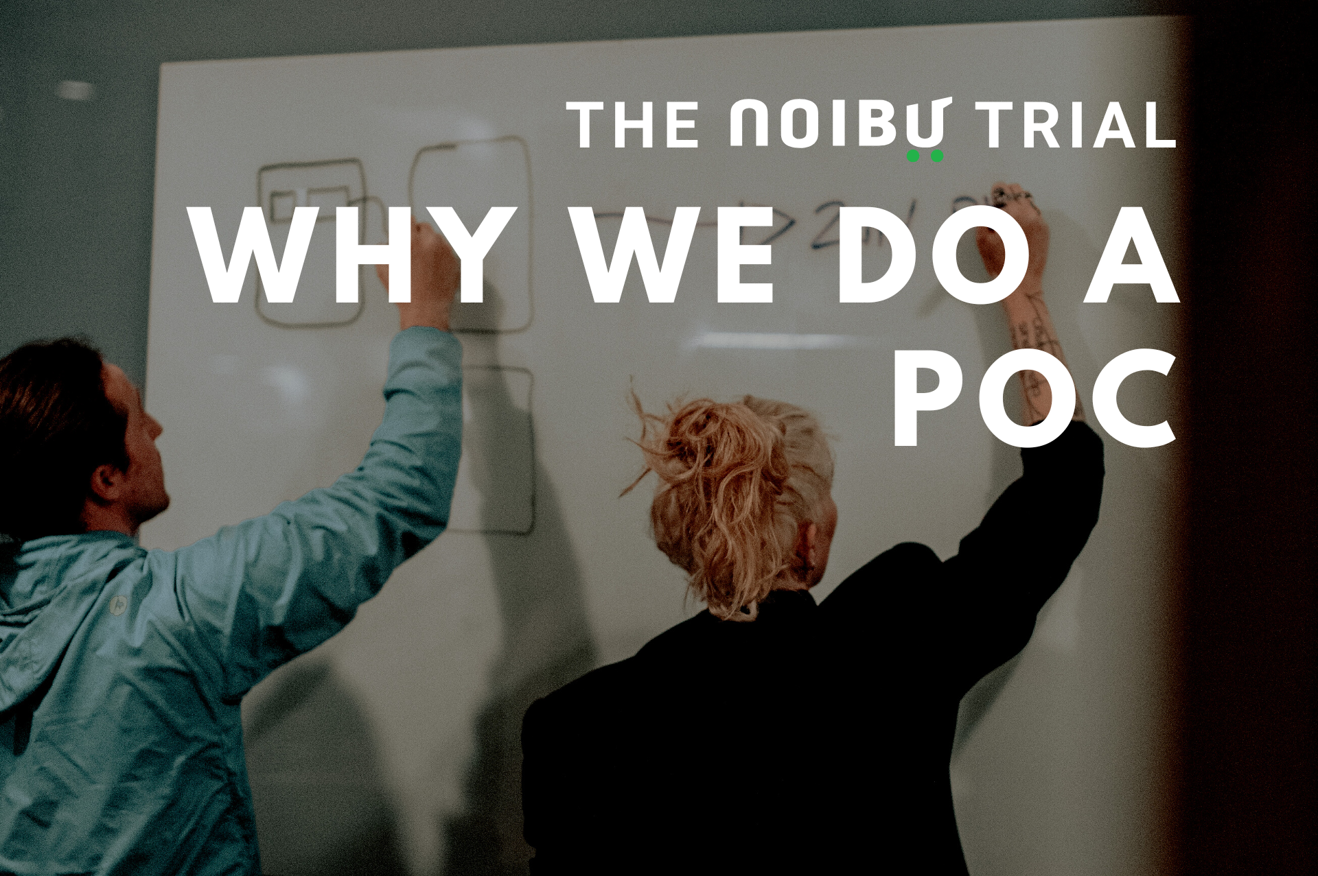 The Noibu Trial: Why We Do A POC - Blog Banner