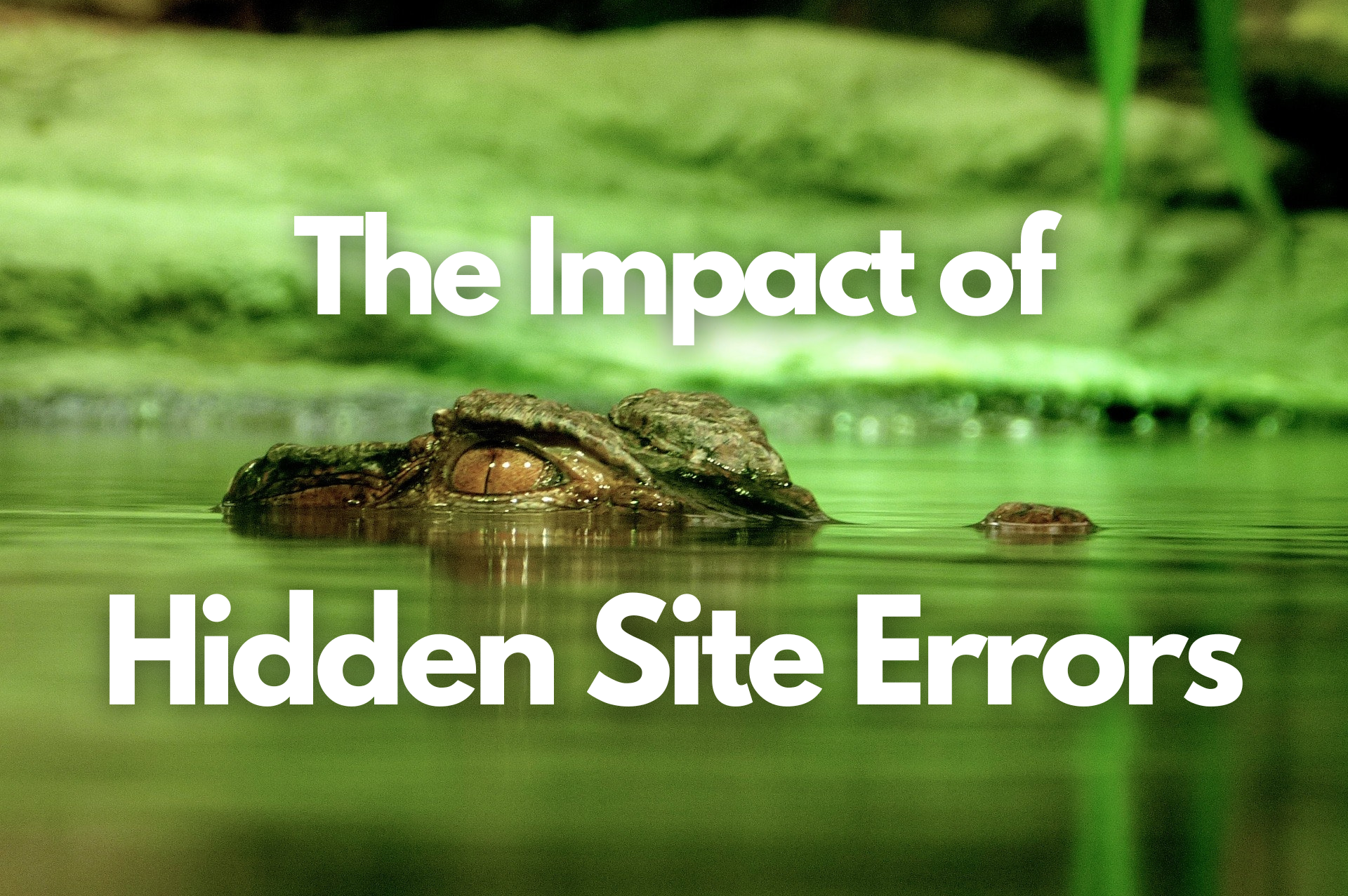 The Impact of Hidden Site Errors blog banner