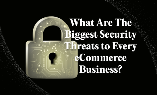 eCommerce security threats