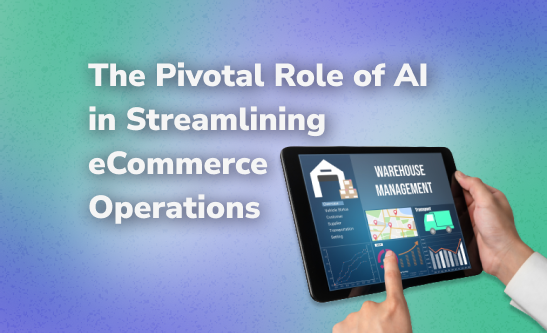 AI in streamlining eCommerce operations